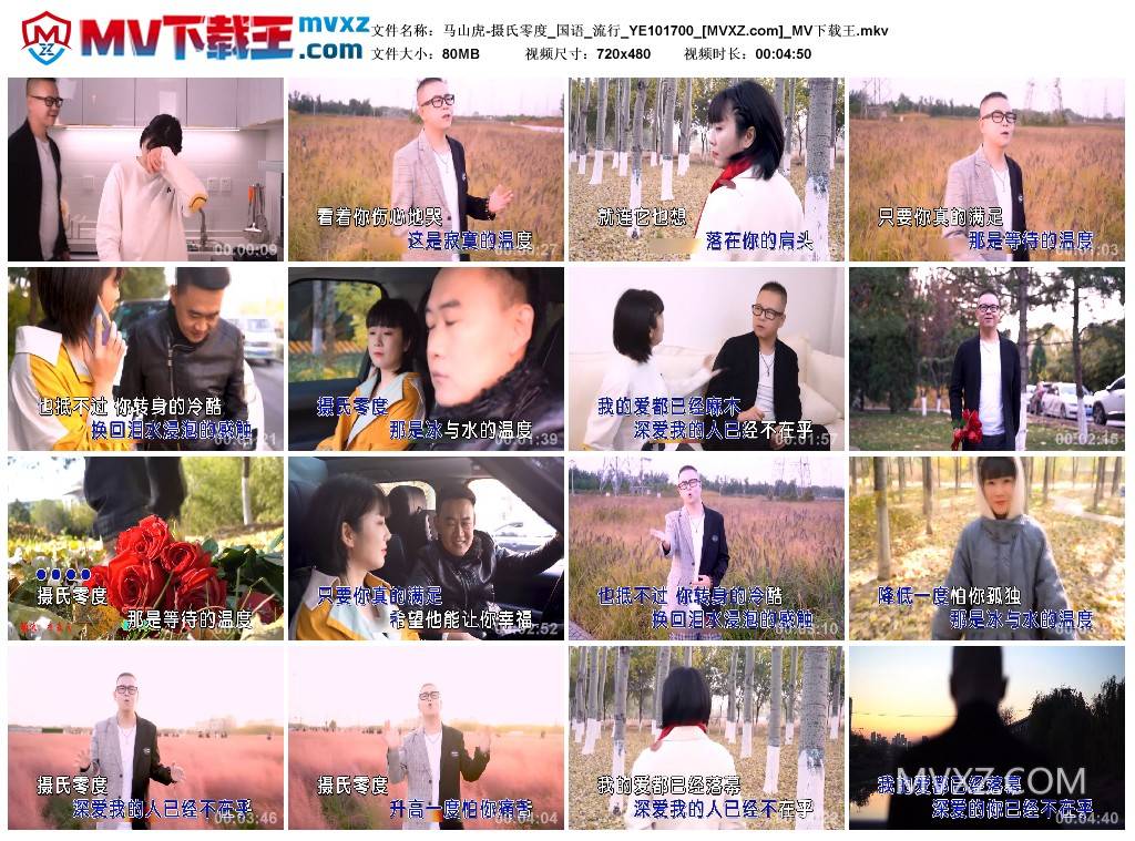 马山虎-摄氏零度_国语_流行_YE101700